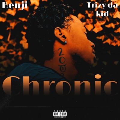 Chronic (feat. Trizydakid) - Single