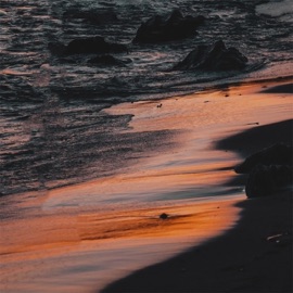 听悲伤的情歌 (0.8x) 辛雯