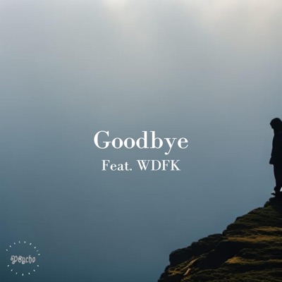 Goodbye (feat. Willy Da Funky Kid) - Single