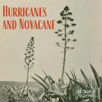 Hurricanes And Novacane — Midwave Breaks