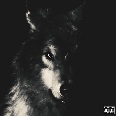 YK PRODUCTION - Yerinde Ve Zamanında Konuşanlar