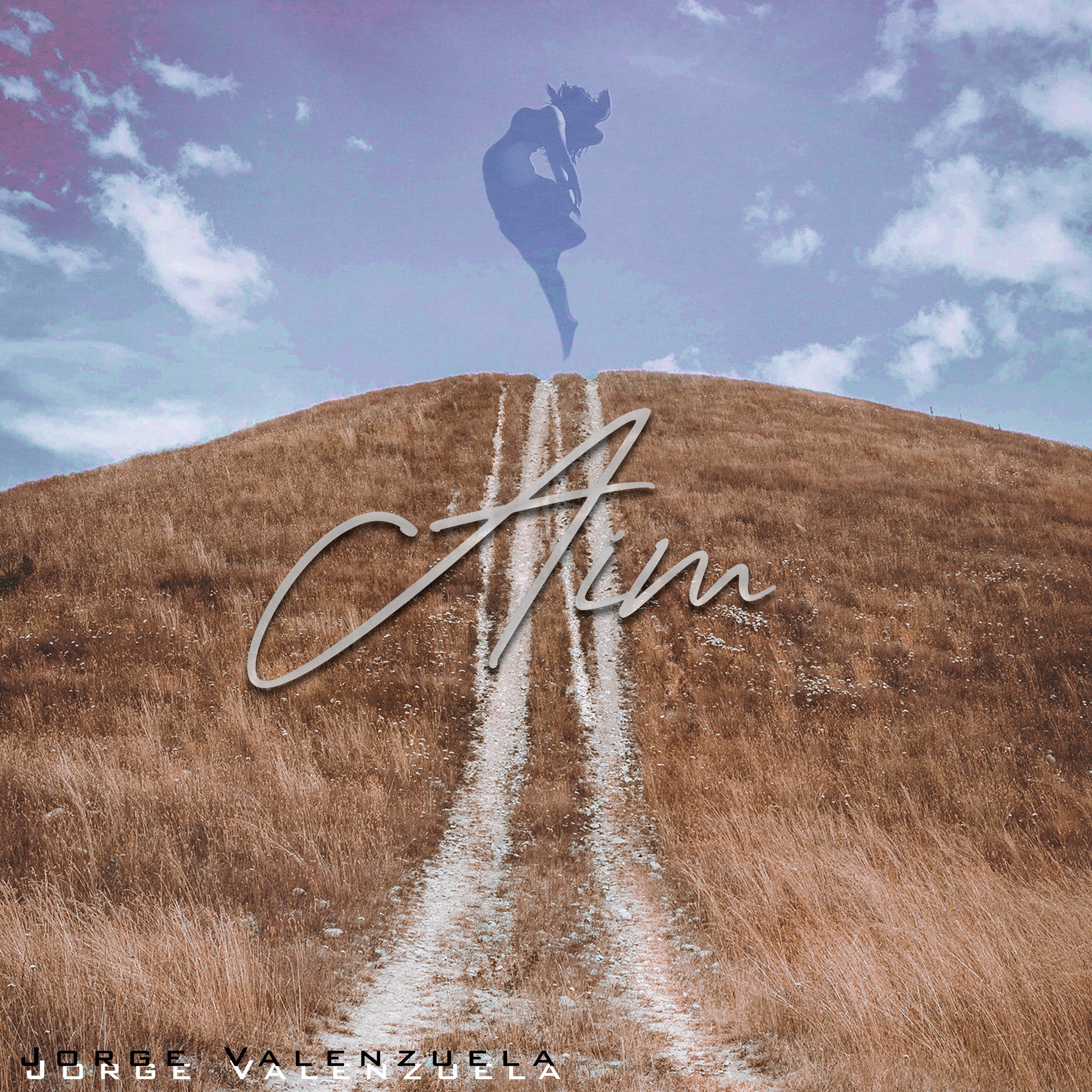 Aim - Single