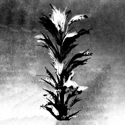 BAD SEEDS FROM the SOUTH Vol. I: Youth of a Dead Body