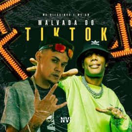 Malvada do Tiktok MC Dieguinho, Dieguinho NVI & MC GW