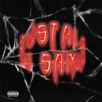 zůstala si sama - Single - voyd99