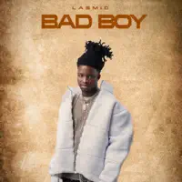 Bad Boy — Lasmid