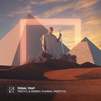 Funeral Freestyle - Single - TrevvyL & Desren