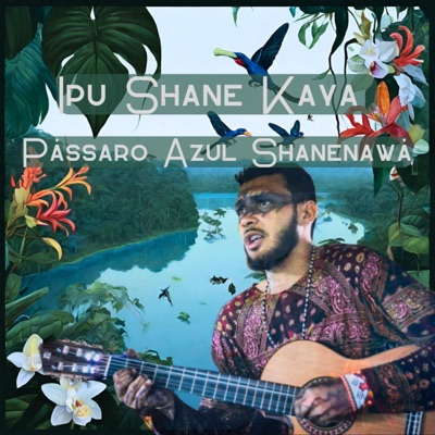 Pássaro Azul Shanenawá