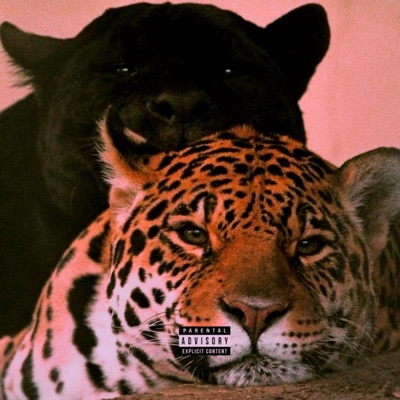 Day Dreamin - Single