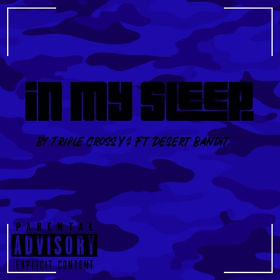 In My Sleep (feat. Desert Bandit) - Single