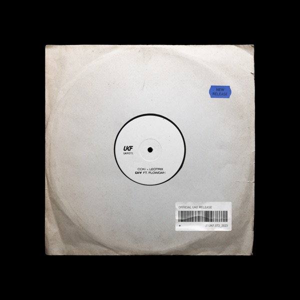 Diy (feat. Flowdan) - Single