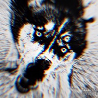 F******z - Single - Killakon