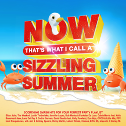 NOW That's What I Call a Sizzling Summer - Various Artists Cover Art