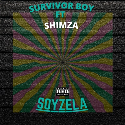 SOYZELA (feat. Shimza) - Single