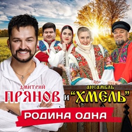 Родина одна Dmitriy Pryanov & ансамбль 