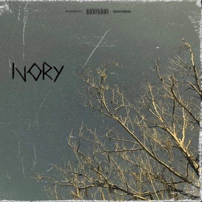 Ivory - Single
