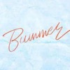 Bummer - Single