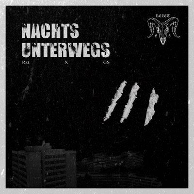 Nachts Unterwegs (feat. Rzt & Gs) - Single
