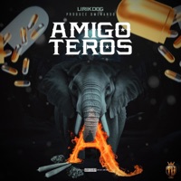 Amigoteros - Single