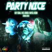 Party Nice (feat. Crawba Genius) artwork