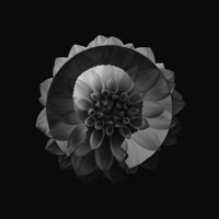 Solo - Single - Amanati