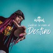 Quebrar La Mano Al Destino artwork