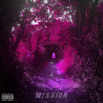 On a Mission (feat. Johnny Monteiro) - Single
