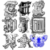 Lost Haven / Shillings