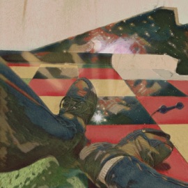 Dog Pound Shayla Hamady