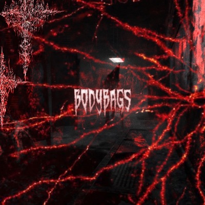 Bodybags - Single