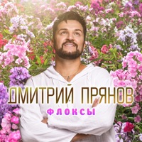 Флоксы - Single - Dmitriy Pryanov