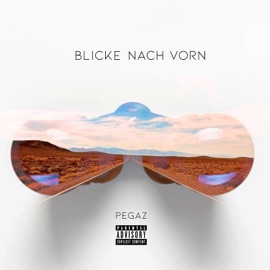 Blicke nach vorn PEGAZ