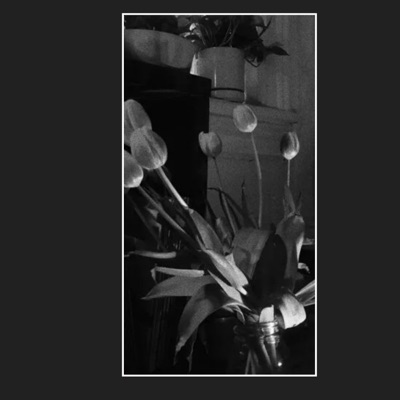 More Pimp Shit 2 - Single