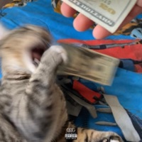 Sweet (feat. Loc) - Single - Lil Sid