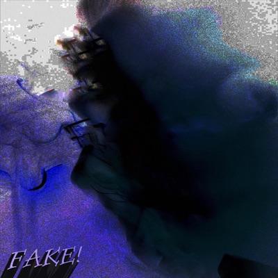Fake! - Single