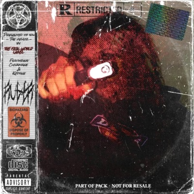 RUGER (feat. Kodyine) - Single
