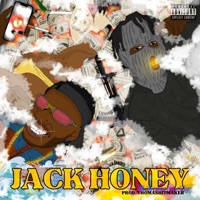 Jack Honey (feat. VulgoDoo) - Single - dy zone