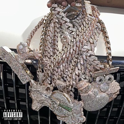 The Type (feat. YTB Fatt) - Single