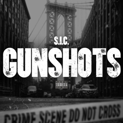 Gunshots - Single