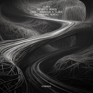 Infinite Roads (Incl. Innarius & ILDES' Dreamscape Remix) - Single