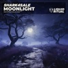 Moonlight - Single