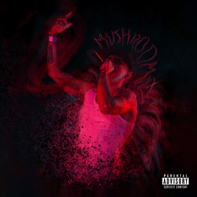 El Extraño Mundo de Mush - Single