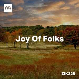Joy Of Folks