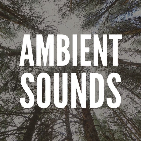Ambient Sounds