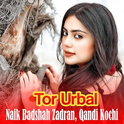 Tor Urbal