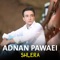 Kani - Adnan Pawaei lyrics