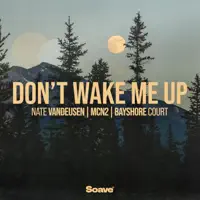 Don't Wake Me Up (Radio Edit)