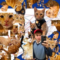 Tiger Cubs (feat. Henry Solomon & Jacob Richards) - Single - Logan Kane