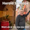 Harold Savenije - Want als je me nou zou zien