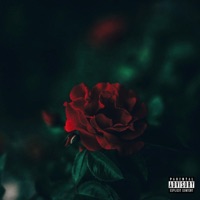 8Mart - Single - Nani & kb